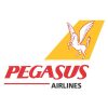 PEGASUS